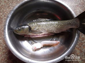 五通一平(五通一平和三通一平的区别),第1张 五通一平(五通一平和三通一平的区别),五通一平(五通一平和三通一平的区别),第1张