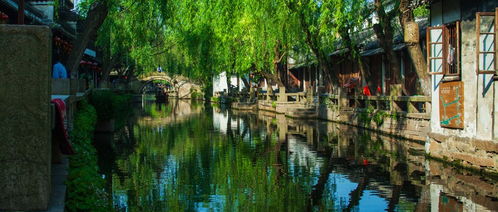 中国靠前窗帘品牌(中国靠前窗帘品牌排名),第3张 中国靠前窗帘品牌(中国靠前窗帘品牌排名),中国靠前窗帘品牌(中国靠前窗帘品牌排名),第3张