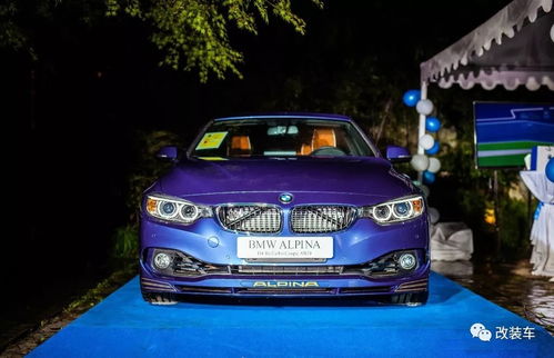 acschnitzer(acschnitzer和阿尔宾娜),第2张 acschnitzer(acschnitzer和阿尔宾娜),acschnitzer(acschnitzer和阿尔宾娜),第2张