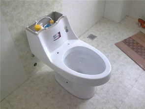 抽水马桶安装图(抽水马桶安装图解盖),第3张 抽水马桶安装图(抽水马桶安装图解盖),抽水马桶安装图(抽水马桶安装图解盖),第3张