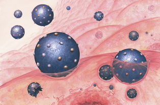 装修设计公司:掌握这些步骤,轻松查询宁波住房公积金,第2张 装修设计公司:掌握这些步骤,轻松查询宁波住房公积金,装修设计公司:掌握这些步骤,轻松查询宁波住房公积金,第2张