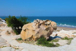 漳州六鳌旅游攻略(漳州六鳌景点),第2张 漳州六鳌旅游攻略(漳州六鳌景点),漳州六鳌旅游攻略(漳州六鳌景点),第2张