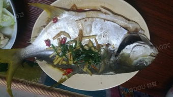 金枪鱼怎么做好吃视频(金枪鱼的做法家常做法),第2张 金枪鱼怎么做好吃视频(金枪鱼的做法家常做法),金枪鱼怎么做好吃视频(金枪鱼的做法家常做法),第2张