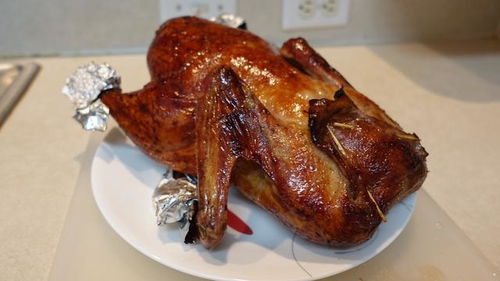 啤酒烤鸭的做法与配方视频(啤酒烤鸭的做法家常做法),第3张 啤酒烤鸭的做法与配方视频(啤酒烤鸭的做法家常做法),啤酒烤鸭的做法与配方视频(啤酒烤鸭的做法家常做法),第3张