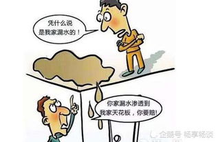 楼上漏水(楼上漏水怎么起诉对方),第3张 楼上漏水(楼上漏水怎么起诉对方),楼上漏水(楼上漏水怎么起诉对方),第3张