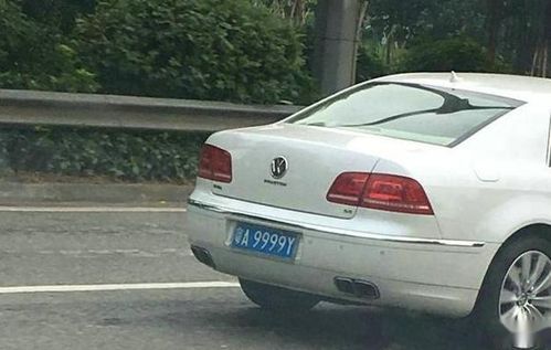 车牌隐形剂（隐形人车牌号）,车牌隐形剂（隐形人车牌号）,第3张