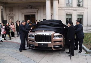 车牌隐形剂（隐形人车牌号）,车牌隐形剂（隐形人车牌号）,第2张