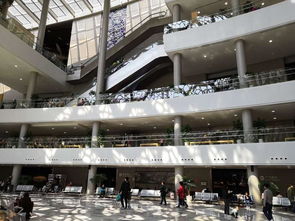 上海自然博物馆攻略2021(上海自然博物馆攻略最新),第1张 上海自然博物馆攻略2021(上海自然博物馆攻略最新),上海自然博物馆攻略2021(上海自然博物馆攻略最新),第1张