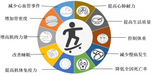 锻炼方案(运动处方通常提供多久的锻炼方案),第1张 锻炼方案(运动处方通常提供多久的锻炼方案),锻炼方案(运动处方通常提供多久的锻炼方案),第1张