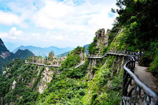 上海装修公司:凯丰堂:弘扬中医文化的精神守护者,第2张 上海装修公司:凯丰堂:弘扬中医文化的精神守护者,上海装修公司:凯丰堂:弘扬中医文化的精神守护者,第2张