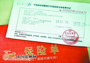 **香港留学签证存款(**香港留学签证存款证明退给个人吗),第2张 **香港留学签证存款(**香港留学签证存款证明退给个人吗),**香港留学签证存款(**香港留学签证存款证明退给个人吗),第2张