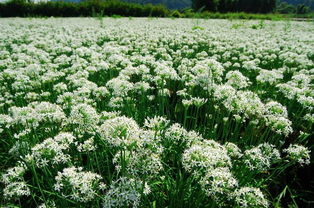 办公室设计装修：探寻启迪方洲的科学魅力,办公室设计装修：探寻启迪方洲的科学魅力,第1张