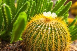 装修报价:如何选择靠谱的施工队,第1张 装修报价:如何选择靠谱的施工队,装修报价:如何选择靠谱的施工队,第1张