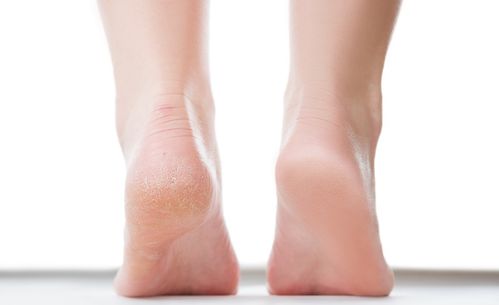 室内装修:题目:探究AVC风扇的工作原理与使用方法,第2张 室内装修:题目:探究AVC风扇的工作原理与使用方法,室内装修:题目:探究AVC风扇的工作原理与使用方法,第2张