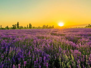 西安限号2020最新限号11月(西安限号2020最新限号11月几点到几点),第1张 西安限号2020最新限号11月(西安限号2020最新限号11月几点到几点),西安限号2020最新限号11月(西安限号2020最新限号11月几点到几点),第1张