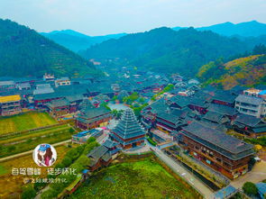 特仑苏牛奶致癌(特仑苏牛奶不好吗),第3张 特仑苏牛奶致癌(特仑苏牛奶不好吗),特仑苏牛奶致癌(特仑苏牛奶不好吗),第3张