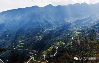 关于九皇山在四川什么地方的信息,第3张 关于九皇山在四川什么地方的信息,关于九皇山在四川什么地方的信息,第3张