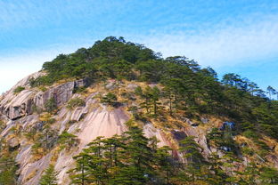 亳州旅游景点排行榜(安徽旅游景点大全景点排名),第3张 亳州旅游景点排行榜(安徽旅游景点大全景点排名),亳州旅游景点排行榜(安徽旅游景点大全景点排名),第3张
