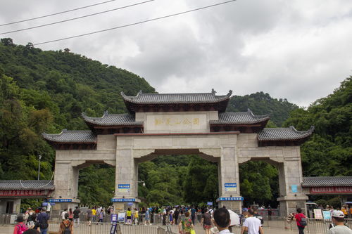 蒜的腌制方法家常（辣八蒜的腌制方法家常）,蒜的腌制方法家常（辣八蒜的腌制方法家常）,第3张