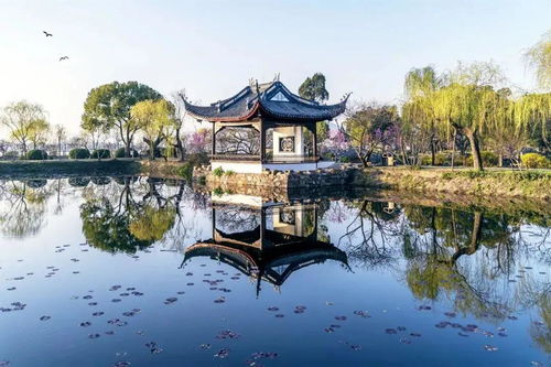 实木地板保养(珠海燃气多层实木地板保养),第2张 实木地板保养(珠海燃气多层实木地板保养),实木地板保养(珠海燃气多层实木地板保养),第2张