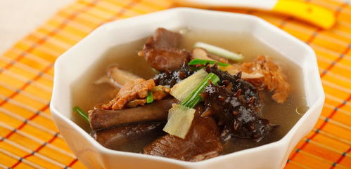 关于炖鸽子汤要不要焯水的信息,第2张 关于炖鸽子汤要不要焯水的信息,关于炖鸽子汤要不要焯水的信息,第2张