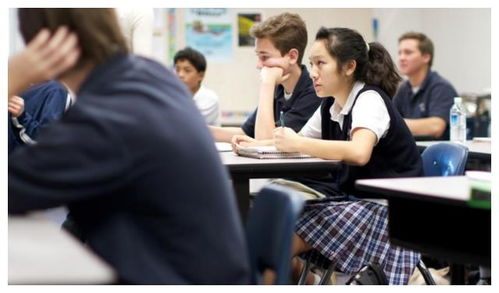 工厂装修:揭秘PP材质:为何它成为众多制品的首选材料?,第1张 工厂装修:揭秘PP材质:为何它成为众多制品的首选材料?,工厂装修:揭秘PP材质:为何它成为众多制品的首选材料?,第1张