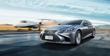 上海办公装修公司:手工珠宝制作:小巧精致的美丽艺术品,第3张 上海办公装修公司:手工珠宝制作:小巧精致的美丽艺术品,上海办公装修公司:手工珠宝制作:小巧精致的美丽艺术品,第3张