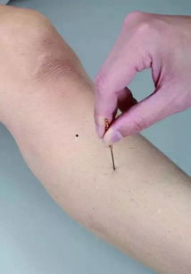 装潢公司:如何轻松疏通冰箱冷藏室的排水孔?,第1张 装潢公司:如何轻松疏通冰箱冷藏室的排水孔?,装潢公司:如何轻松疏通冰箱冷藏室的排水孔?,第1张