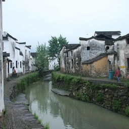 装修公司:如何便宜而高效地购买土工格栅?,第1张 装修公司:如何便宜而高效地购买土工格栅?,装修公司:如何便宜而高效地购买土工格栅?,第1张