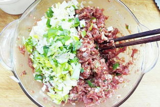 牛肉饺子(牛肉饺子馅的做法和配料),第3张 牛肉饺子(牛肉饺子馅的做法和配料),牛肉饺子(牛肉饺子馅的做法和配料),第3张