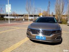 蓝菊根(蓝菊根茶野生的在哪买上正品),第3张 蓝菊根(蓝菊根茶野生的在哪买上正品),蓝菊根(蓝菊根茶野生的在哪买上正品),第3张