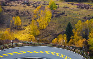 家常大黄鱼的做法（大黄鱼做法家常做法视频）,家常大黄鱼的做法（大黄鱼做法家常做法视频）,第2张