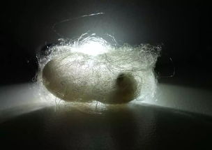 上海公装公司:深入剖析企业形象墙设计,助力企业品牌形象提升,第3张 上海公装公司:深入剖析企业形象墙设计,助力企业品牌形象提升,上海公装公司:深入剖析企业形象墙设计,助力企业品牌形象提升,第3张