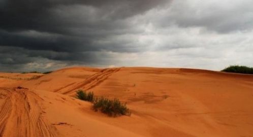沙漠领地装修(沙漠林地),第3张 沙漠领地装修(沙漠林地),沙漠领地装修(沙漠林地),第3张