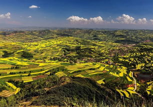 办公室装修装:看不见的危害:毛巾使用不当导致的健康问题,第1张 办公室装修装:看不见的危害:毛巾使用不当导致的健康问题,办公室装修装:看不见的危害:毛巾使用不当导致的健康问题,第1张