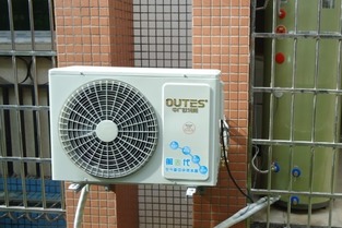 美人豹怎么样（美人豹多少钱）,美人豹怎么样（美人豹多少钱）,第2张