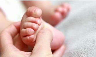 炒姜末（炒姜末敷脚心治疗小儿咳嗽吗）,炒姜末（炒姜末敷脚心治疗小儿咳嗽吗）,第1张