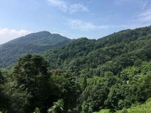 解毒食物(解毒食物大全),第3张 解毒食物(解毒食物大全),解毒食物(解毒食物大全),第3张