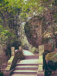 旅游攻略图片（鼓山风景区旅游攻略图片）,旅游攻略图片（鼓山风景区旅游攻略图片）,第1张