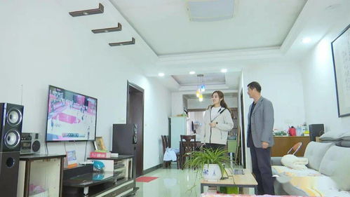 亮居网(亮居网decojoy),第3张 亮居网(亮居网decojoy),亮居网(亮居网decojoy),第3张