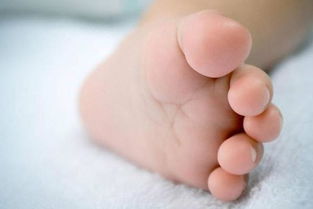 电子狗升级(电子狗升级包),第3张 电子狗升级(电子狗升级包),电子狗升级(电子狗升级包),第3张