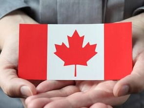 卡贝罗家具(卡贝罗家具怎么样),第3张 卡贝罗家具(卡贝罗家具怎么样),卡贝罗家具(卡贝罗家具怎么样),第3张