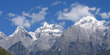 凉拌圆白菜怎么做好吃(凉拌圆白菜做法窍门),第3张 凉拌圆白菜怎么做好吃(凉拌圆白菜做法窍门),凉拌圆白菜怎么做好吃(凉拌圆白菜做法窍门),第3张