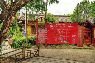 罗汉竹(罗汉竹子图片及价格),第2张 罗汉竹(罗汉竹子图片及价格),罗汉竹(罗汉竹子图片及价格),第2张