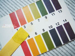 速凝水泥(速凝水泥多长时间可以),第3张 速凝水泥(速凝水泥多长时间可以),速凝水泥(速凝水泥多长时间可以),第3张