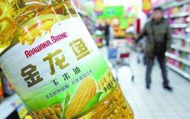 买便宜货(买便宜货的坏处),第3张 买便宜货(买便宜货的坏处),买便宜货(买便宜货的坏处),第3张