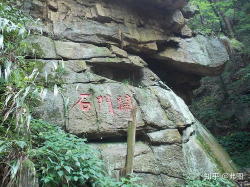 信阳旅游攻略(信阳旅游攻略自驾游),第1张 信阳旅游攻略(信阳旅游攻略自驾游),信阳旅游攻略(信阳旅游攻略自驾游),第1张