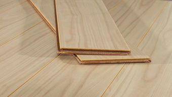 大众辉昂（大众辉昂停产了吗）,大众辉昂（大众辉昂停产了吗）,第1张