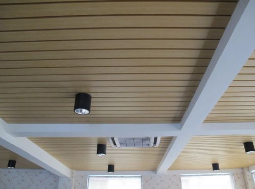 绿可木(绿可木吊顶效果图),第2张 绿可木(绿可木吊顶效果图),绿可木(绿可木吊顶效果图),第2张