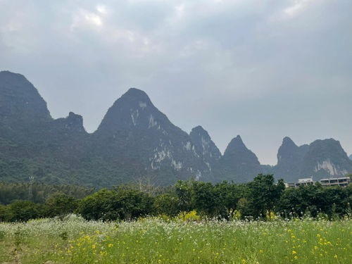 去广西桂林旅游攻略自由行(桂林三天两夜自由行攻略),第2张 去广西桂林旅游攻略自由行(桂林三天两夜自由行攻略),去广西桂林旅游攻略自由行(桂林三天两夜自由行攻略),第2张